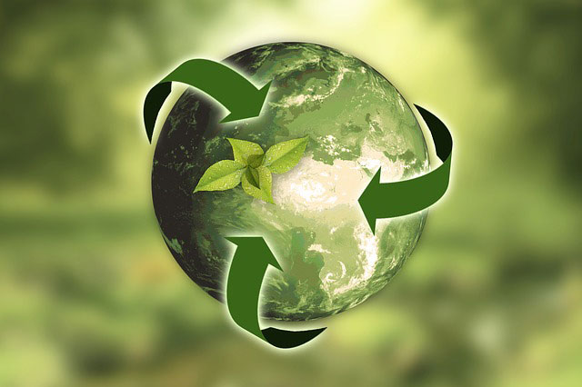 Why Invest In Sustainable and Reusable Packaging